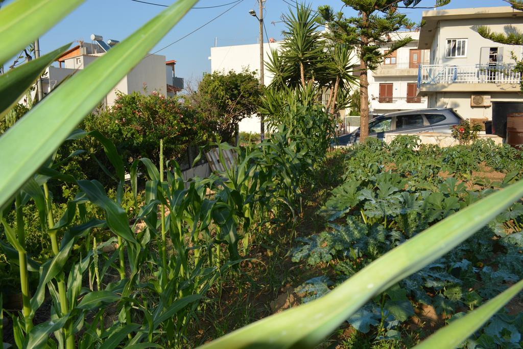 Thegaia Studios Rethymno Exteriör bild